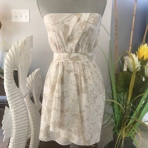 Express spring dress